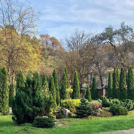 Готель Мараморош Șaian Exterior foto